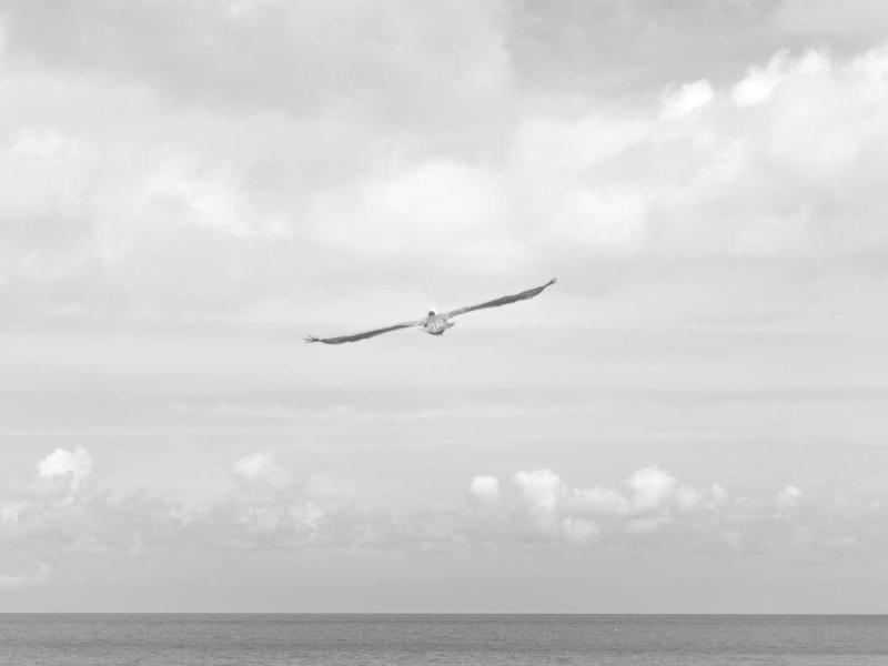 声音捕手<br>ly8tfut.cn 雨打芭蕉声